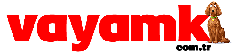 Vayamk - Sosyal İçerik Platformu